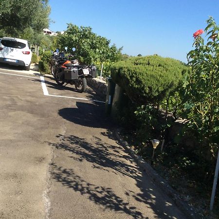Apartment Olive Jovici  Εξωτερικό φωτογραφία