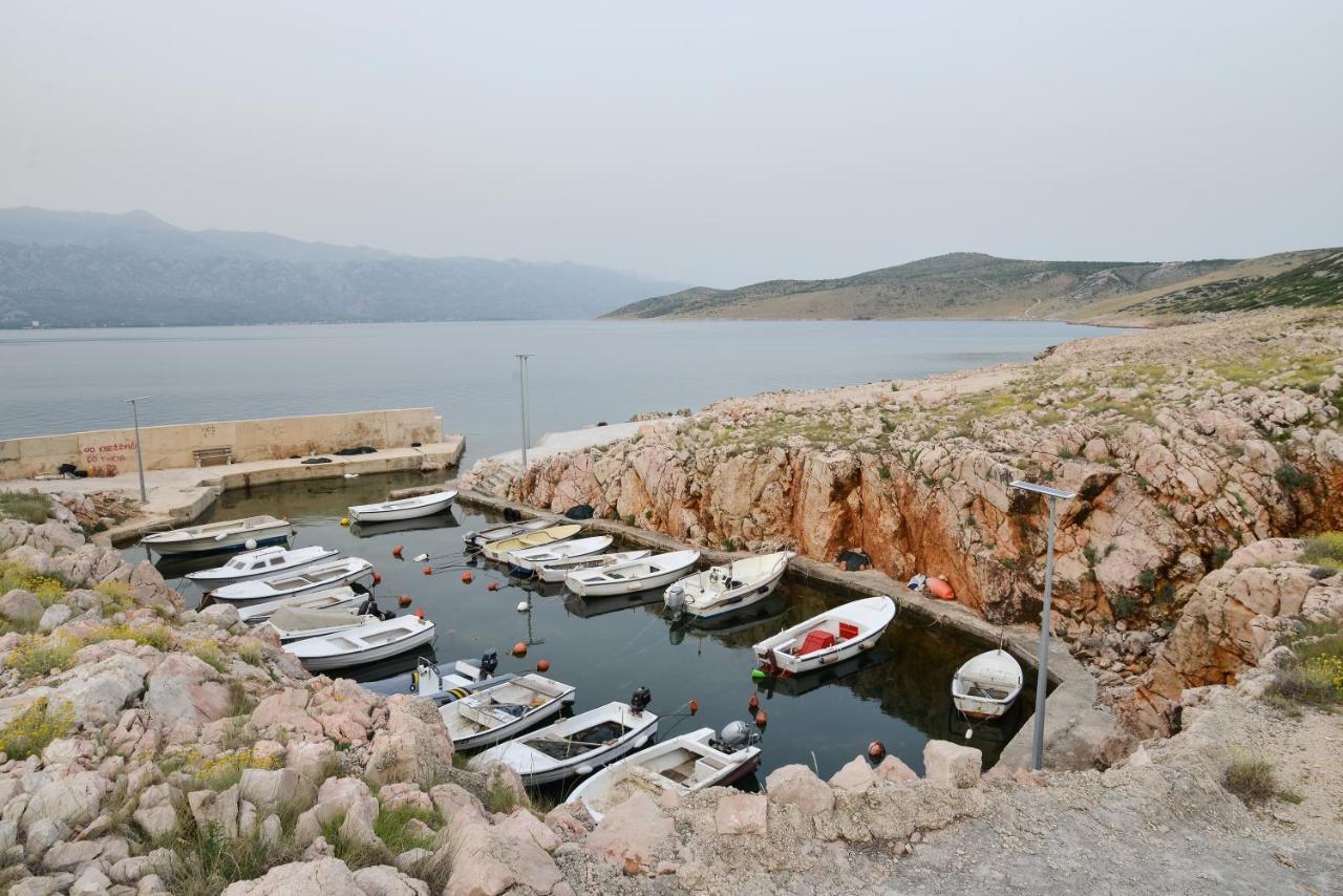 Apartment Olive Jovici  Εξωτερικό φωτογραφία